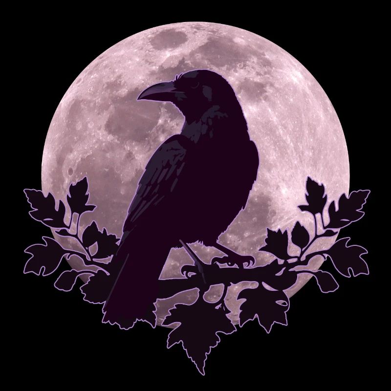 Raven in full moon light