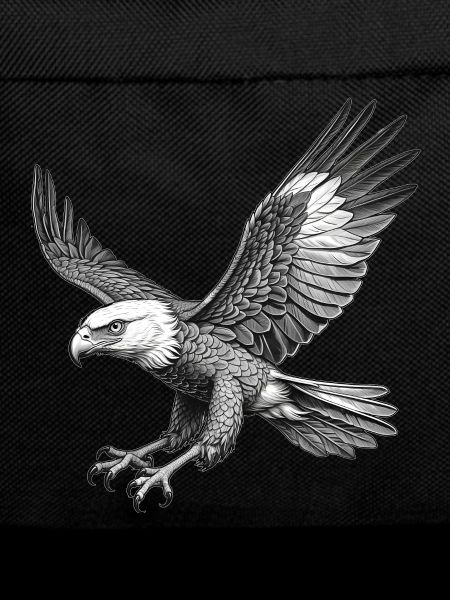 Flying Eagle, Graphic