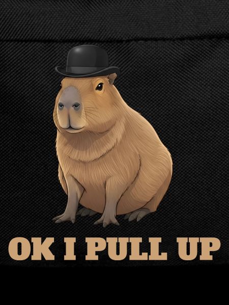 Okay, ich ziehe auf – Capybara-Meme-Humor