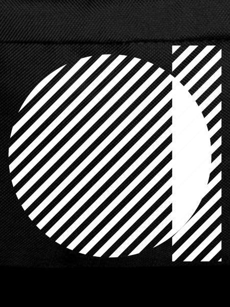 Geometric Stripe Circles Monochrome Pattern