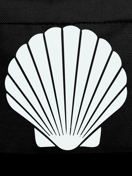 Geometric Shell Art