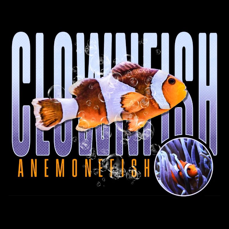 Poisson-clown Poisson-anémone