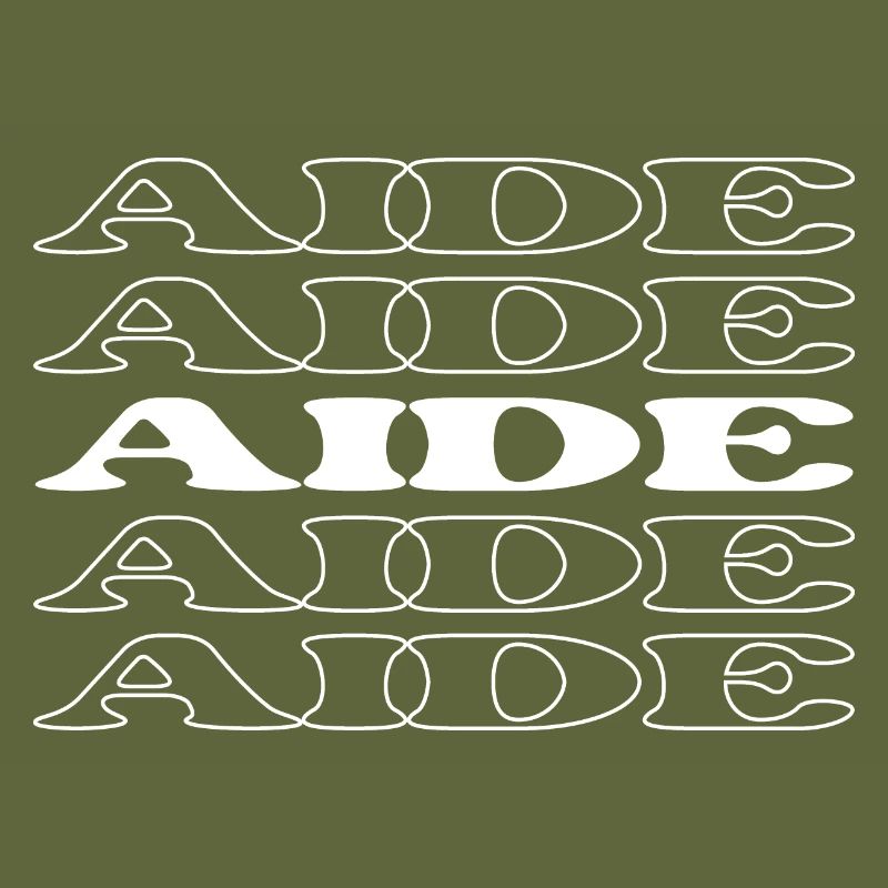 Aide Assistant Helper Associate Acolyte