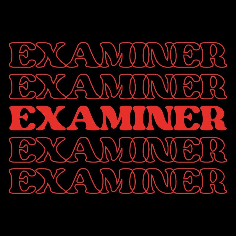Examiner Checker Auditor Inspector Reviewer