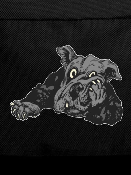 Hund