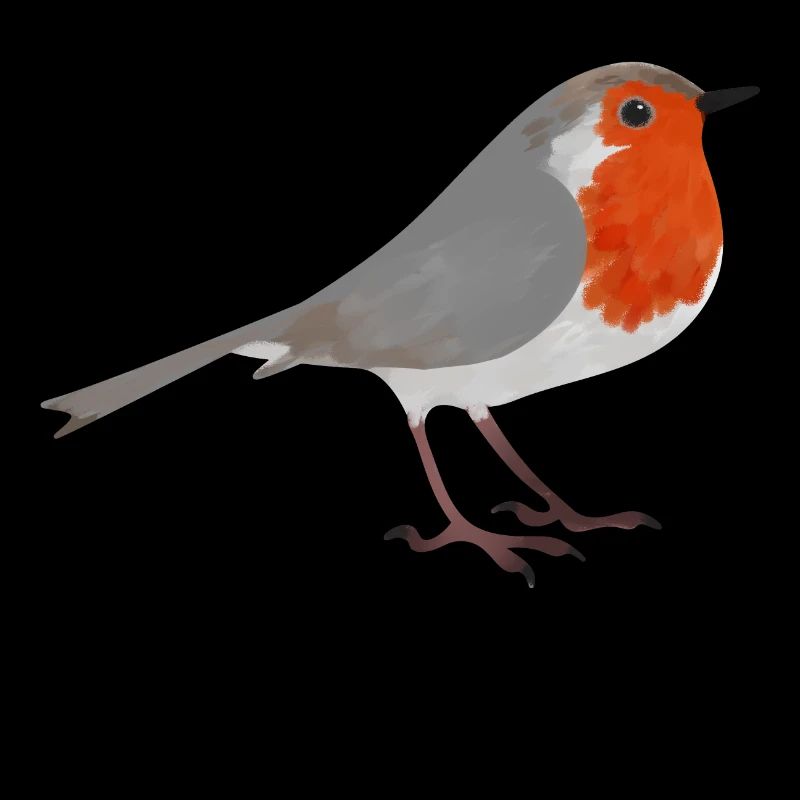 Vogel Rotkehlchen