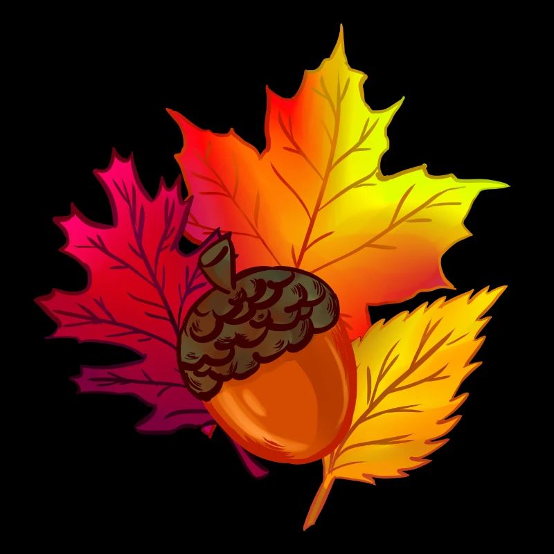 Herbst Laub Blätter Wald Eichel