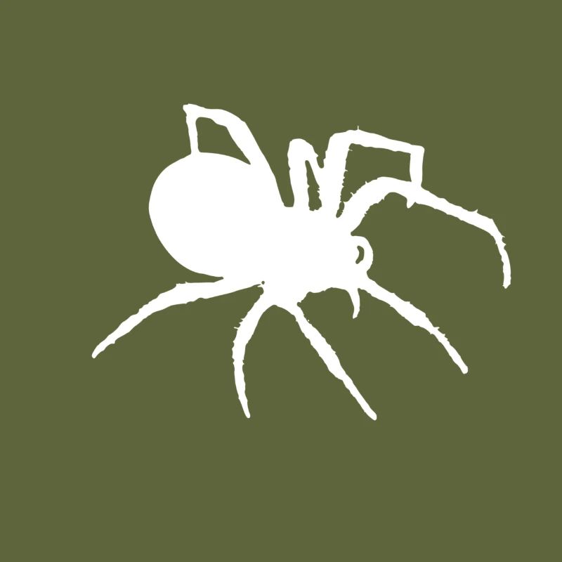 Spider silhouette