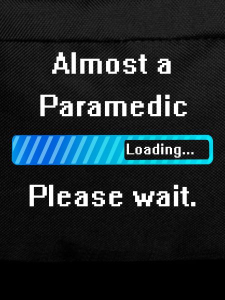 Paramedic Paramedic Training Profession