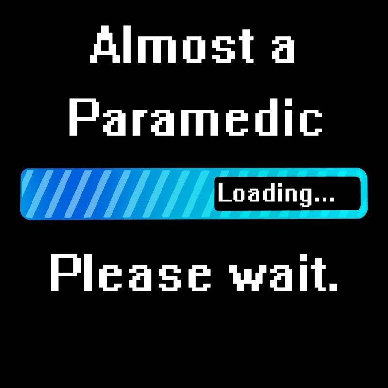Paramedic Paramedic Training Profession