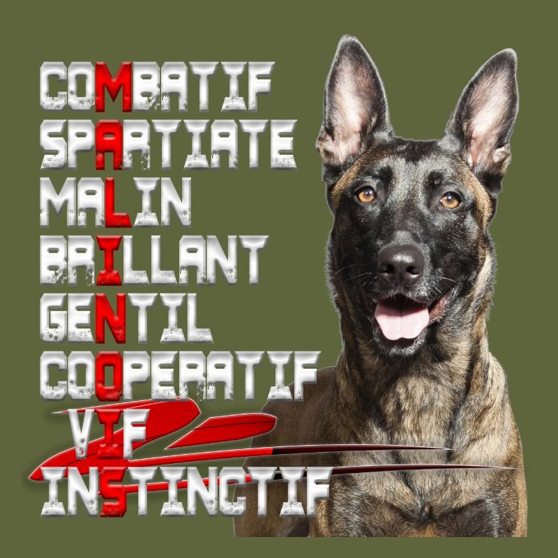 malinois