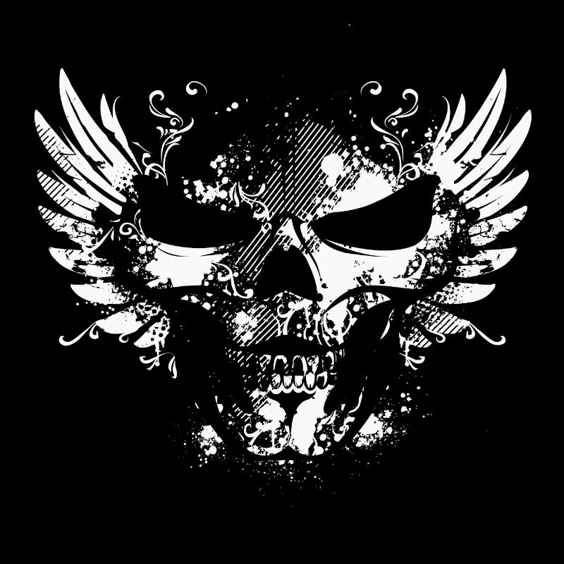 Skull with wings