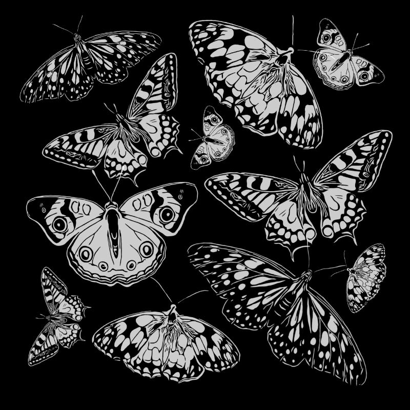 Papillons blancs