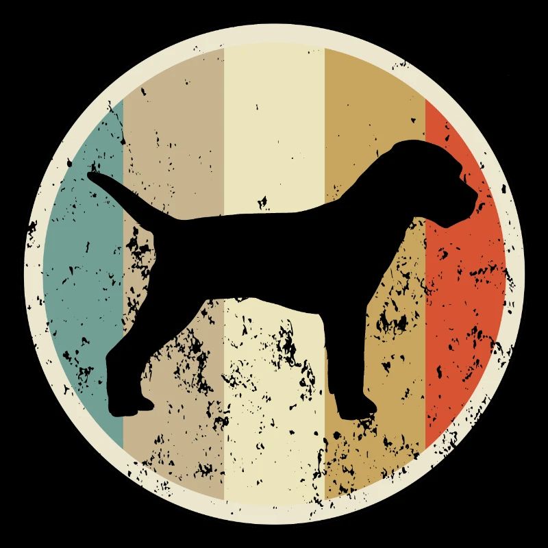 Border Terrier