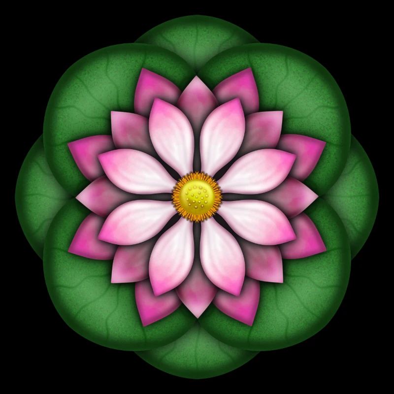 Lotusblume