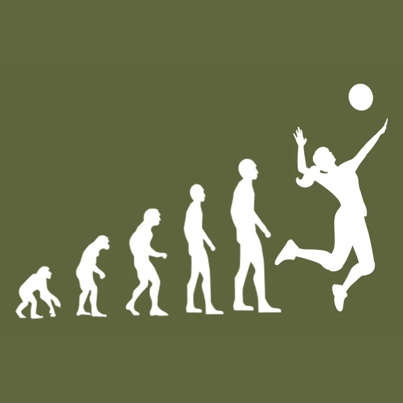 Volley-ball Evolution
