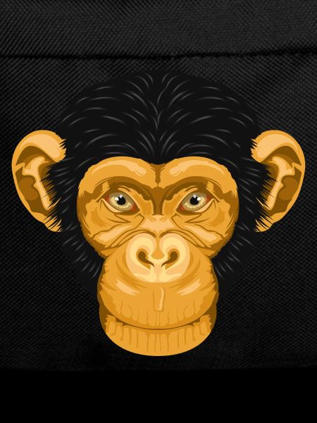 Monkey Chimpanzee Monkey