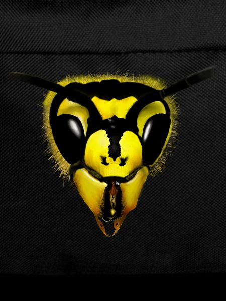 EUROPEAN WASP