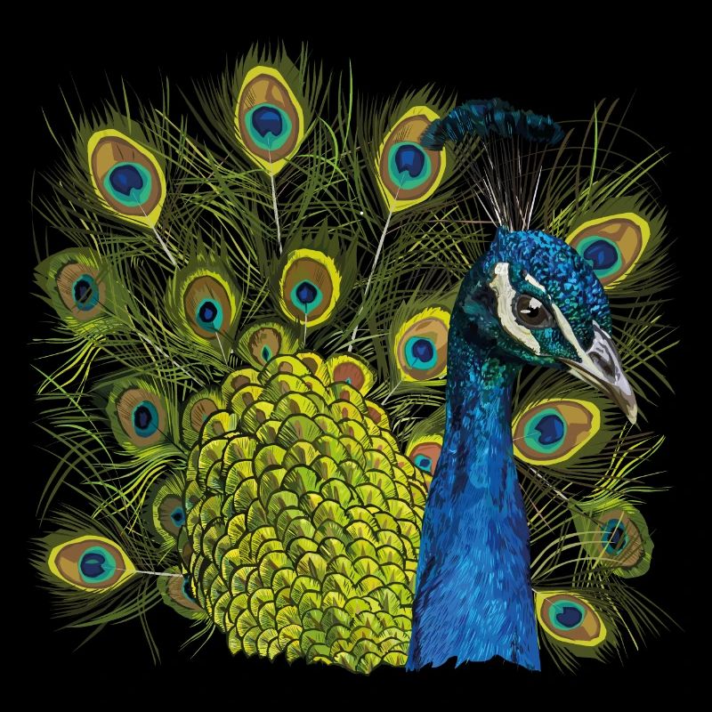 Peacock