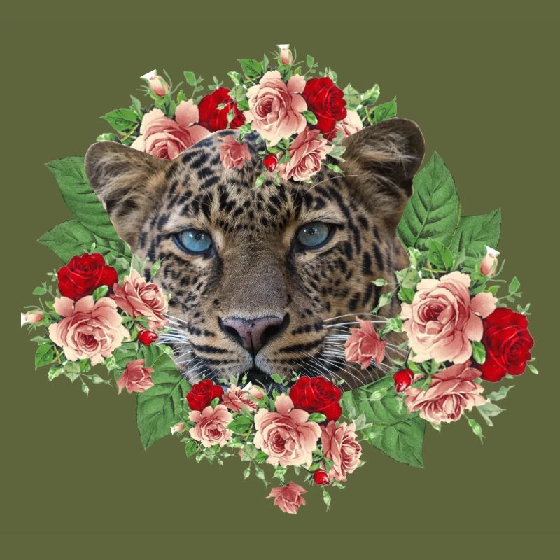 Leo The Cat