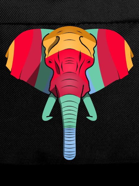 Colourful Elephant