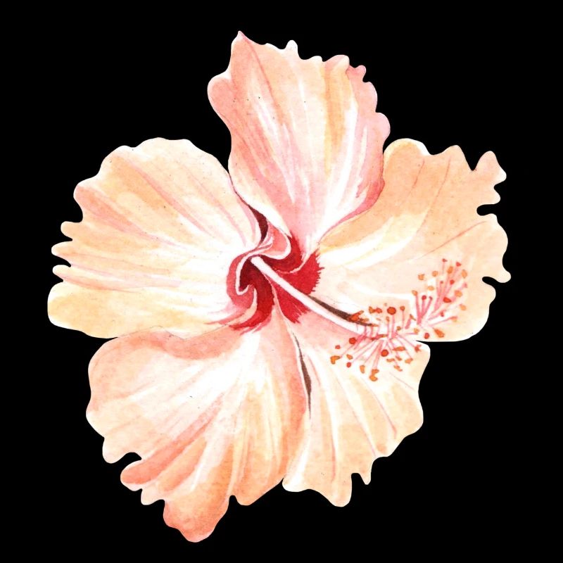 Blume