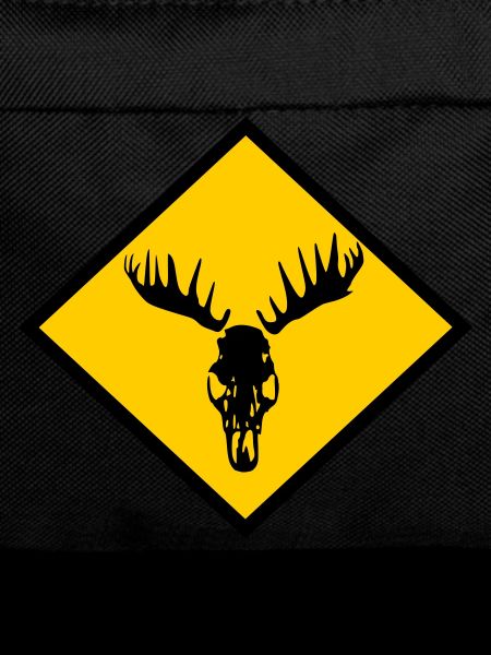 Moose Skull
