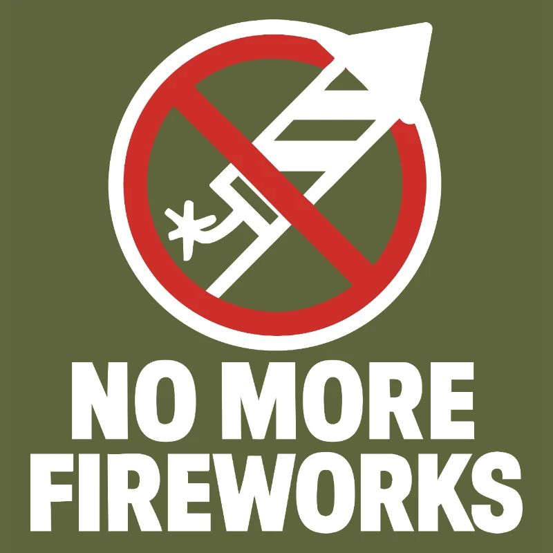 No More Fireworks – Silvester Edition