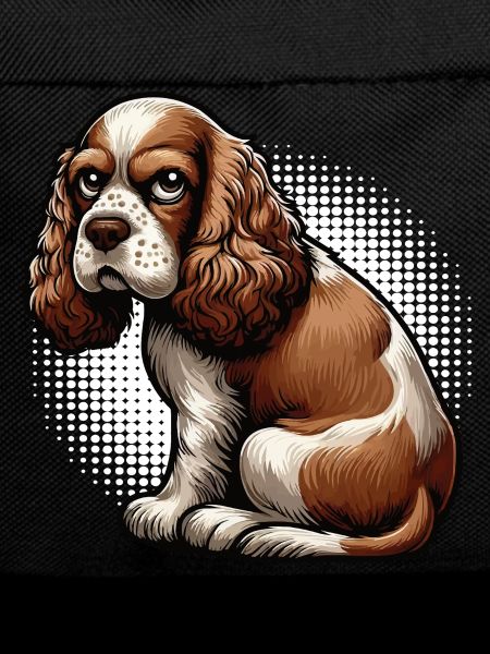 Cocker Spaniel Cockerhund Cocker Spaniel Besitzer
