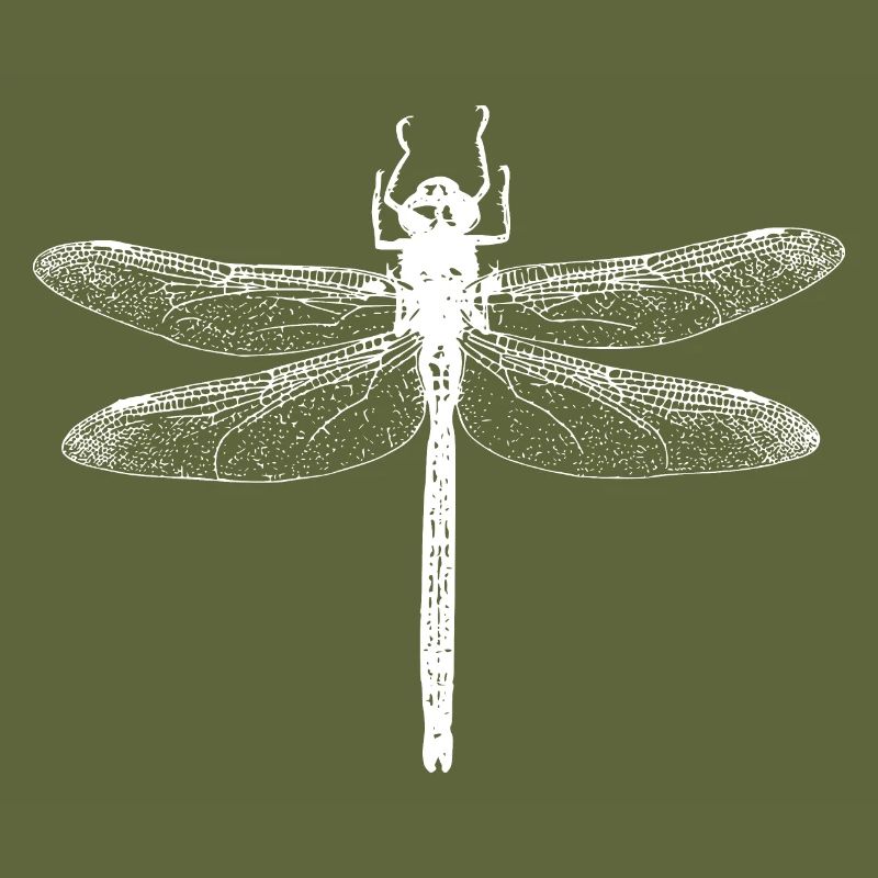 Libelle