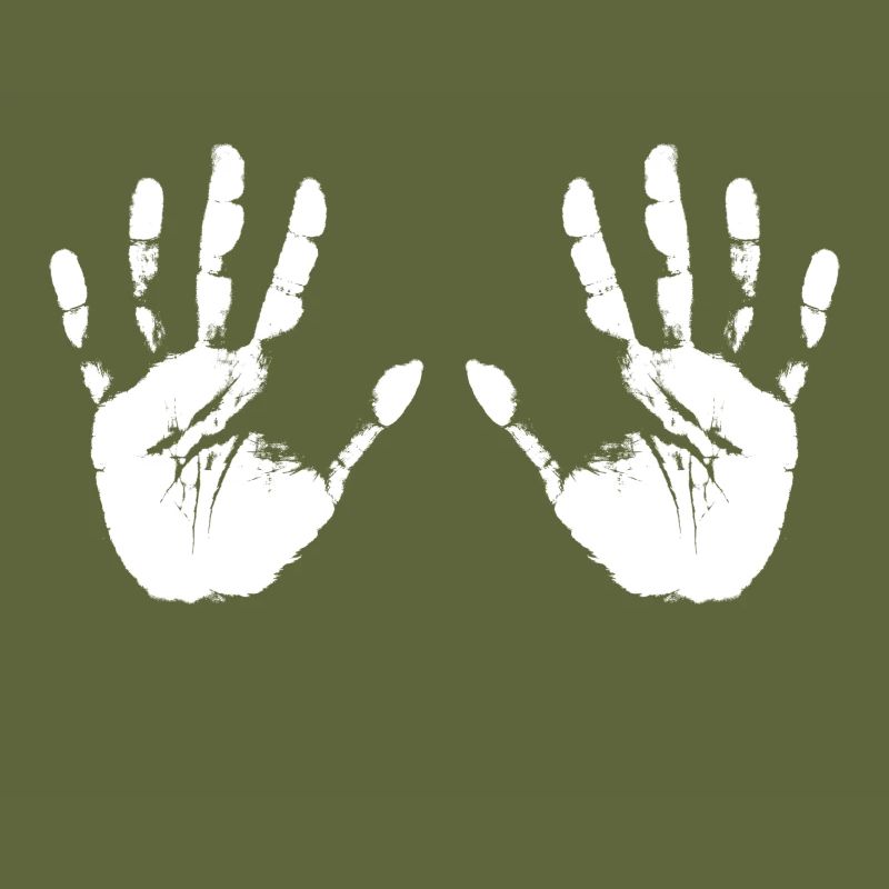 hands