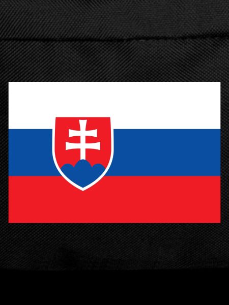 Slovakia Slovakian flag flag