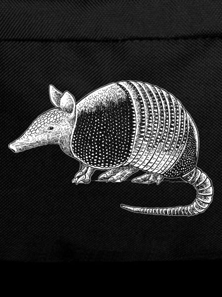 armadillo