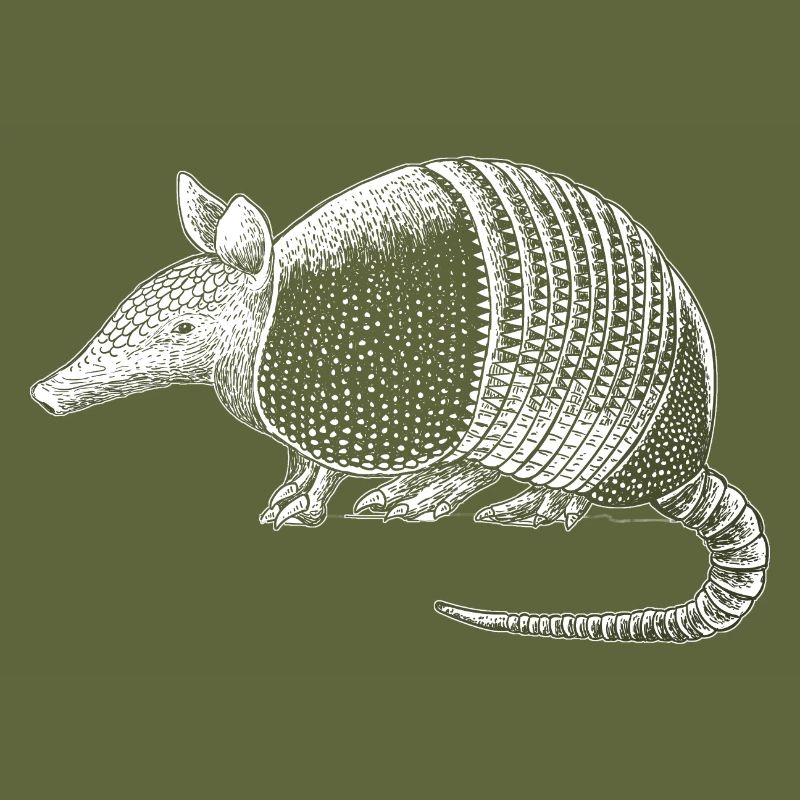 armadillo
