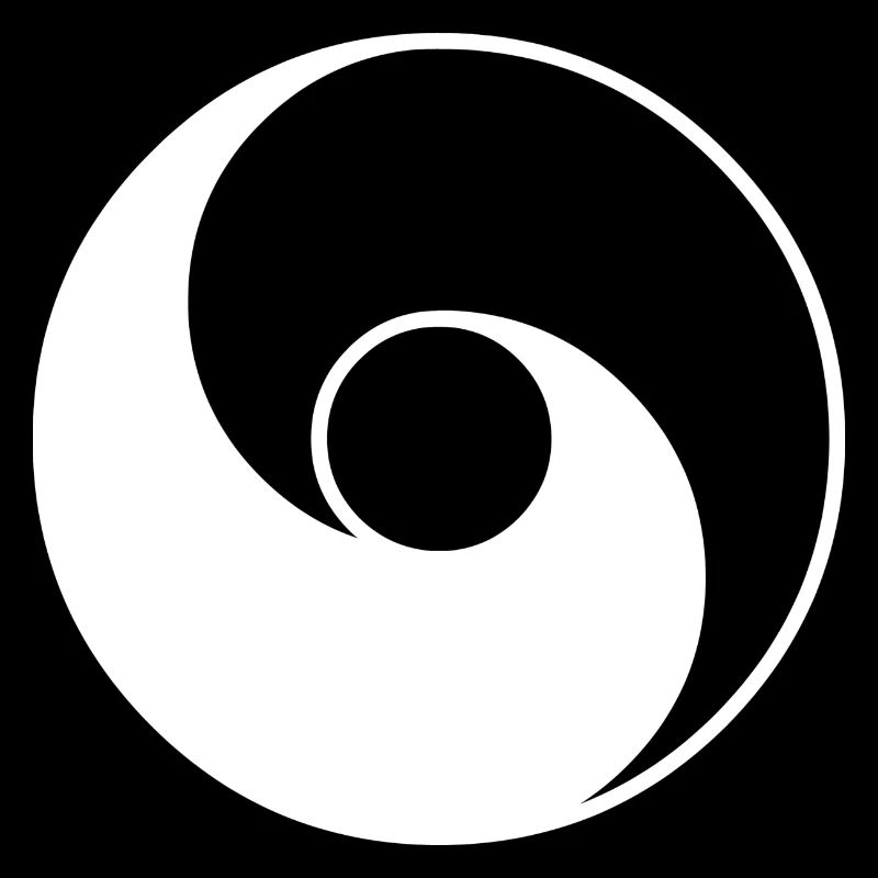 ancient taiji whiteontransp
