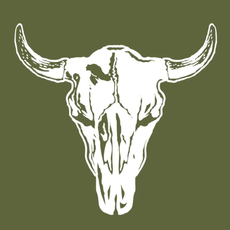 Bull skull