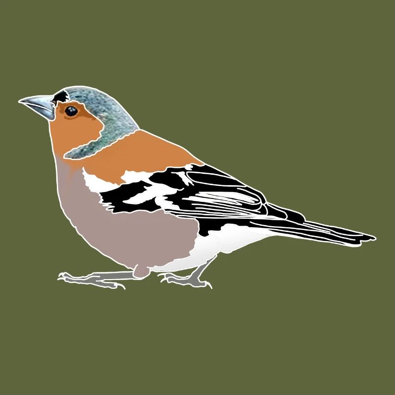 Chaffinch