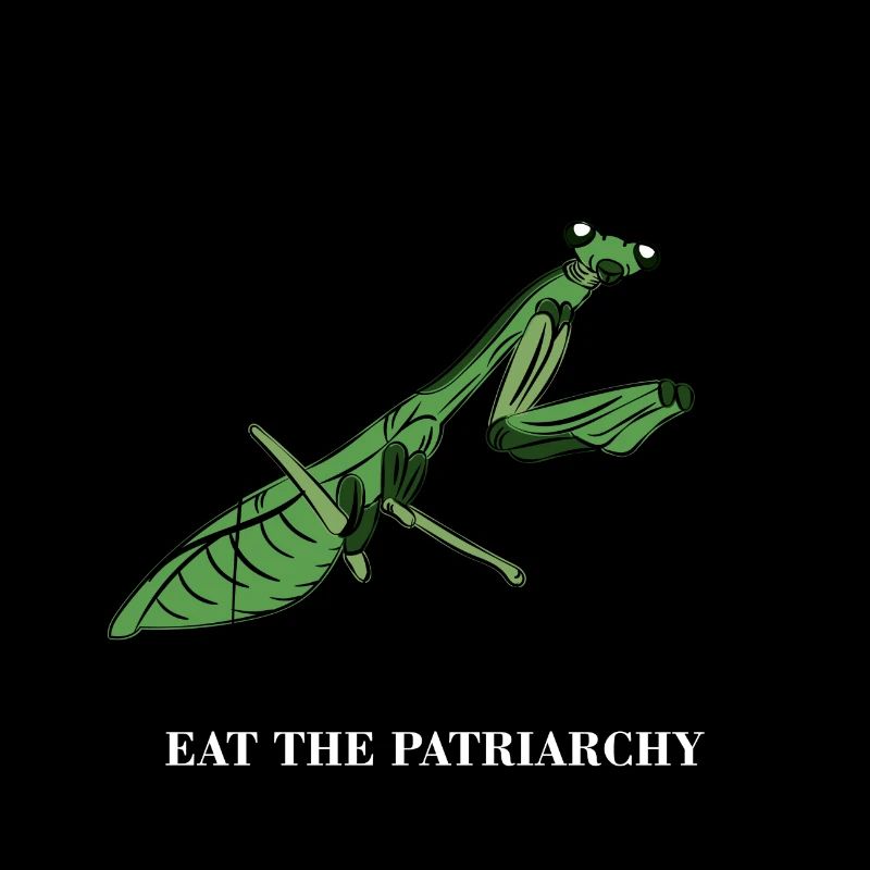 Patriarchy Feminist Feminism Gift