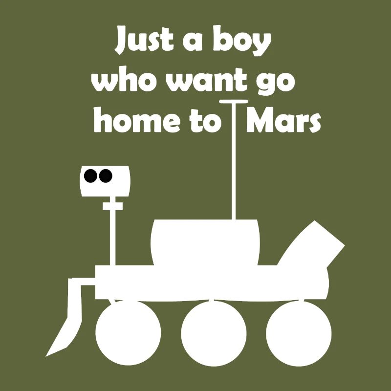 Excursion into space