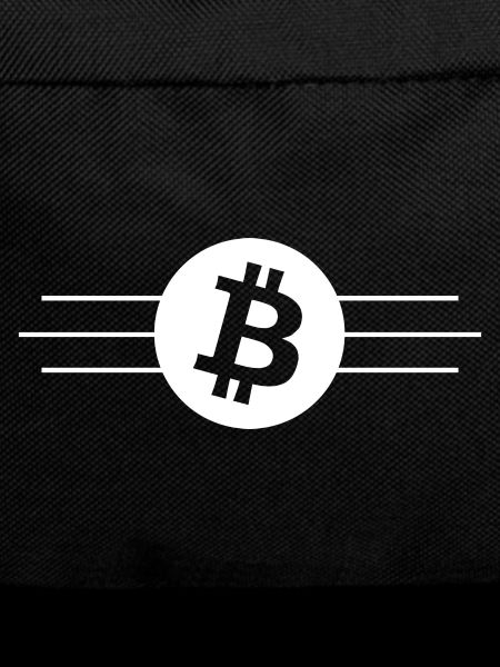 The Bitcoin monetary system