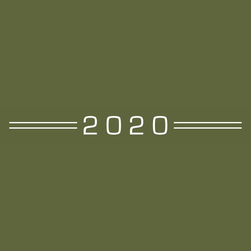 2020 year dash