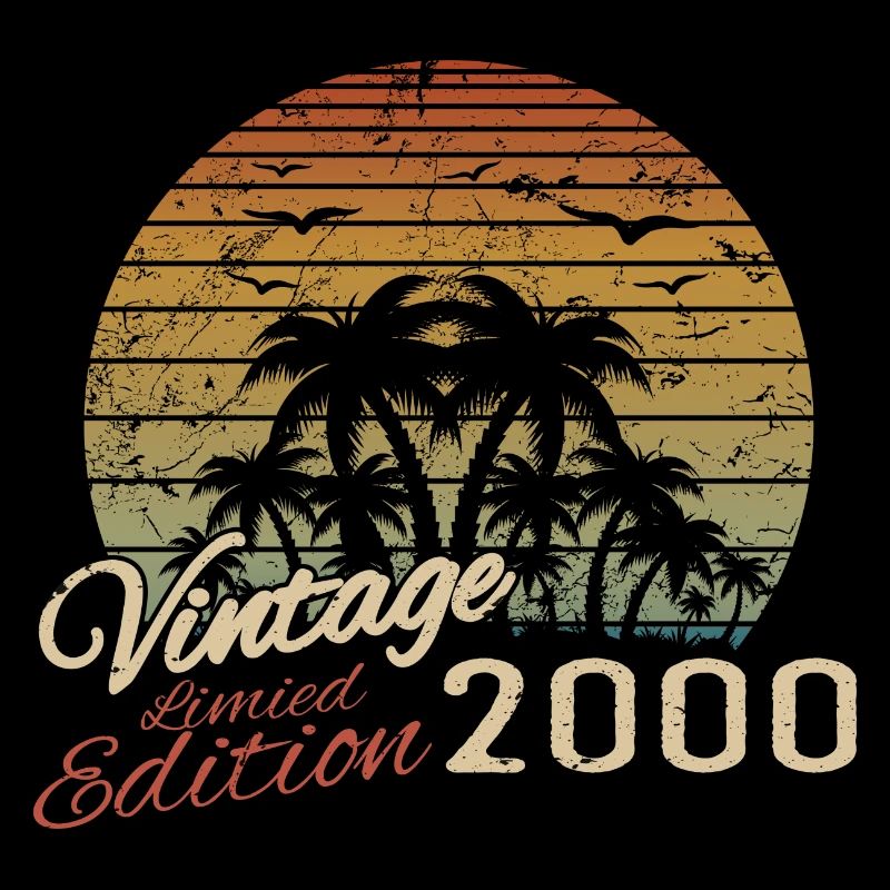 Vintage 2000 Birthday Gift 2000 Retro 2000