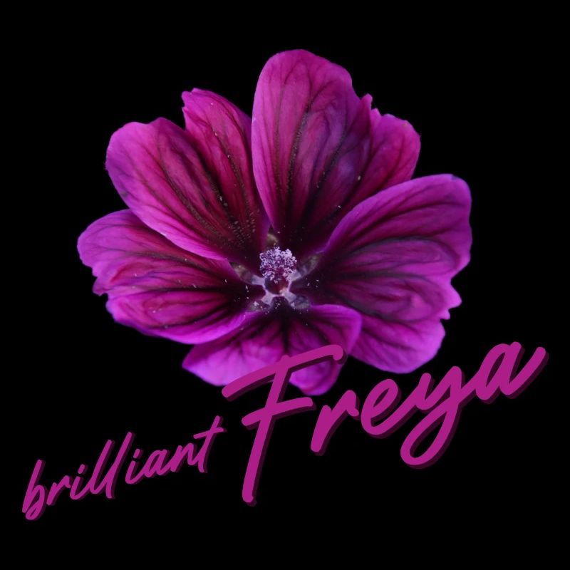 Freya Birthday Freya