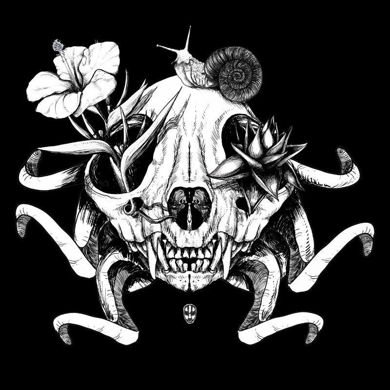 Le crâne les fleurs et l'escargot