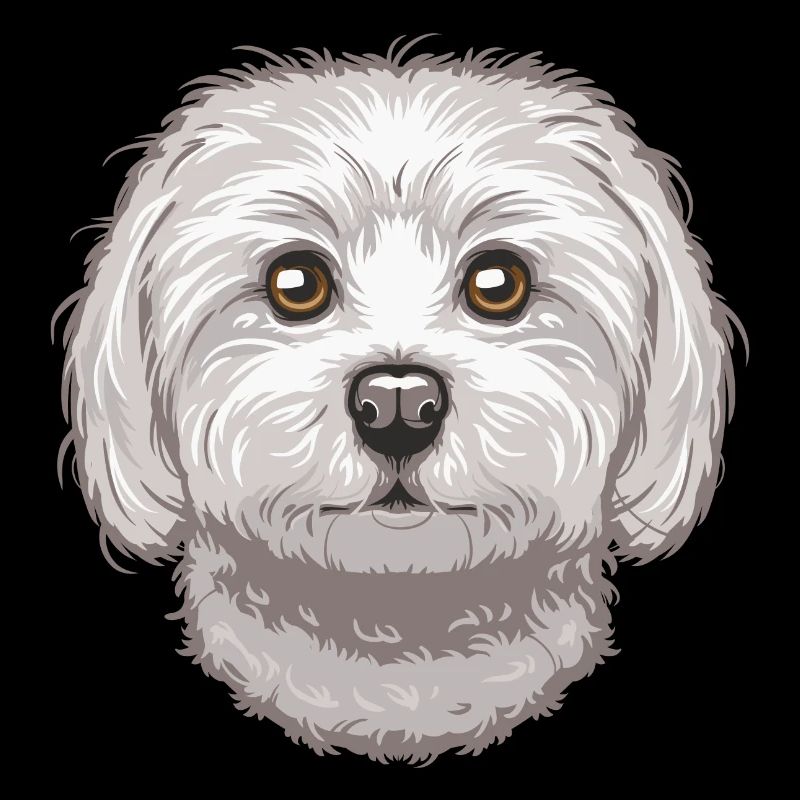 Maltese