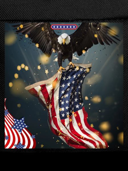 USA, American Eagle