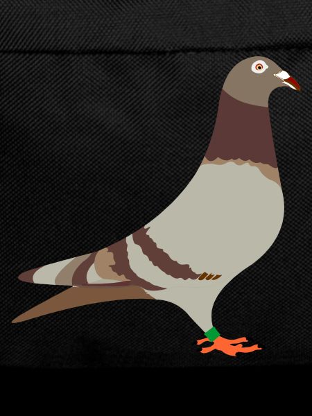 Racing pigeon red brown