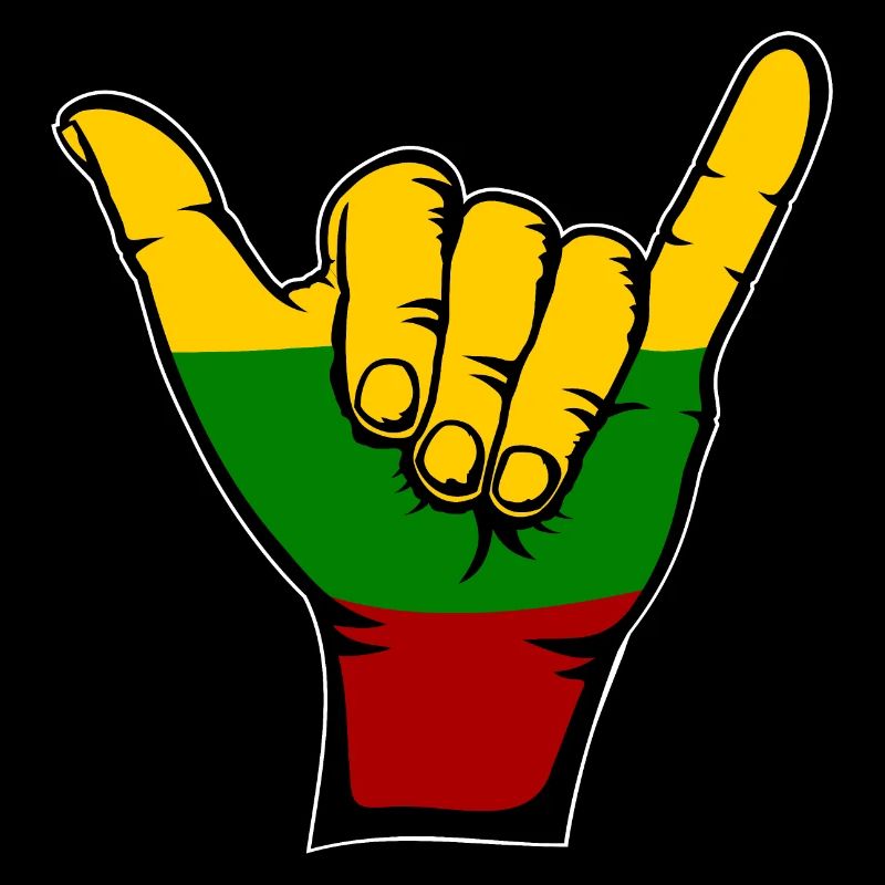 Drapeau de la Lituanie Icône du surf