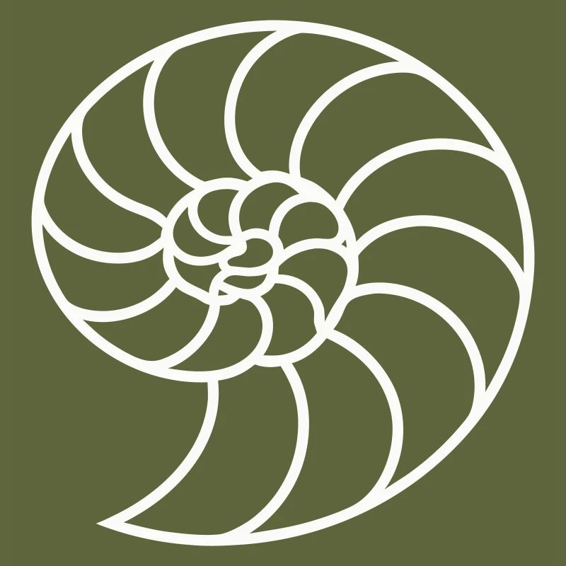 White Nautilus Spiral