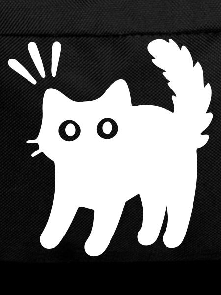 Kater Katze